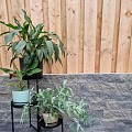 Rockwall 11x13x32 Stone Grey