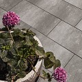 GSB Stone Brushed Facet 30x60x4 cm Park