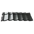Dakpanplaten t.b.v. Douglasvision kapschuur Comfort 500x320 cm, (19 m²), zwart