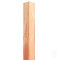 Douglas PEFC paal geschaafd zonder punt 50x50mm bc  - lengte: 200 cm