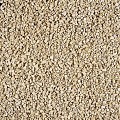 Yellow Sun split 6-10 mm (25 kg)