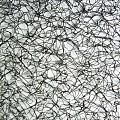 Begroeiingsmat 1,0 x 1 mtr