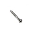 RVS schroeven 5x50 mm (100 st)