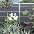 Elephant schutting Modular Evo houtcomposiet 180x180 cm Rock Grey, alu profielen