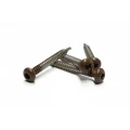 Rvs schroef met gekleurde top voor ntw castellation pro, set a 50 stuks incl. bit, ipé.