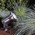 Protego LED,  rvs