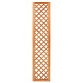 Trellis, diagonaal hardhout met lijst 180x40 cm glad geschaafd