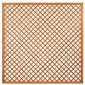 Trellis met lijst, diagonale lamellen hardhout kunstmatig gedroogd H180xB180 cm