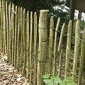Kastanjepaal geschild Ø7-9x150 cm gepunt, niet gekruind