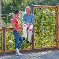 Gaaselement vuurverzinkt maaswijdte 7,5x7,5 cm met robuust kader grenen groen geïmpregneerd 4,4x6,8 cm H180xB180 cm