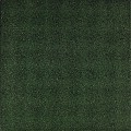 Rubbertegel 50x50x4,5 cm Groen