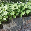 Rockwall 11x13x32 cm Cressida