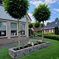 Rockwall 11x13x32 cm Havelte