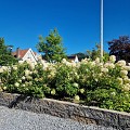 Rockwall XL 15x15x60 cm Havelte