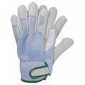 Werkhandschoenen - Geitenleer - Blauw - Maat XL - Elastisch