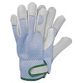 Werkhandschoenen - Geitenleer - Blauw - Maat XL - Elastisch