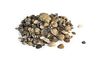 Schelpen 8-16 mm 15 Ltr