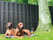 Composiet scherm 'Basic' 180x180 cm