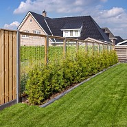 Gaaselement vuurverzinkt maaswijdte 7,5x7,5 cm met robuust kader grenen groen geïmpregneerd 4,4x6,8 cm H180xB180 cm