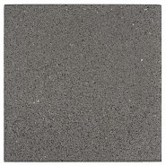 Terrastegel 40x40x3.9 cm Grijs - ongecoat