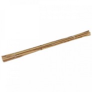 Bamboestok 60cm (10 st)