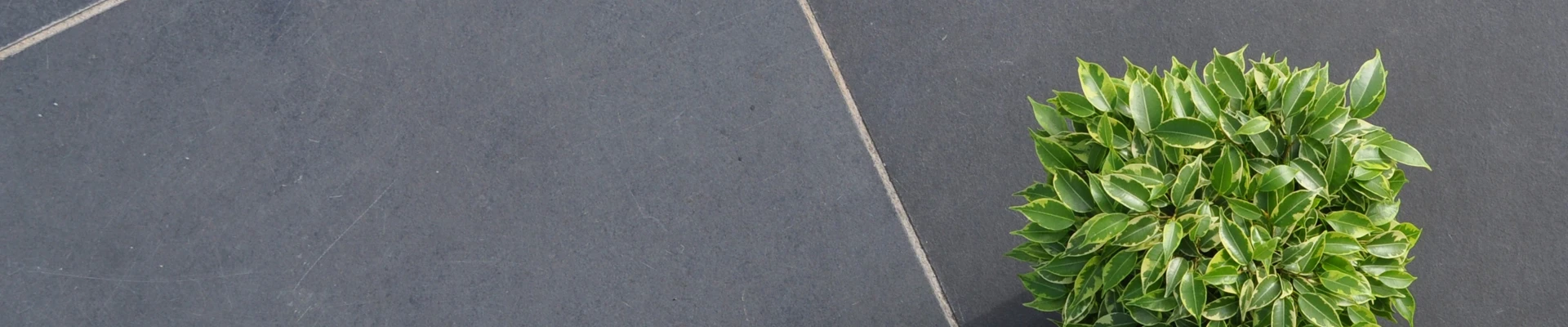 GSB Tuinmaterialen