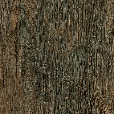 Keramische tegel Noon 120x30x2 Honey