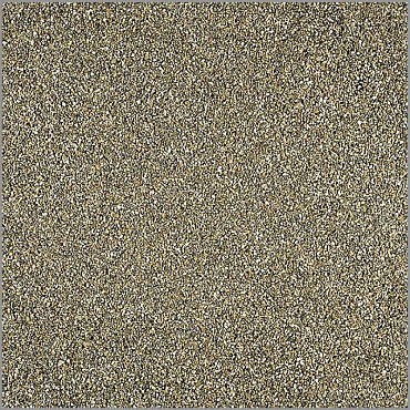 FundyKing (25 kg)