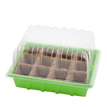 Prop32 & 12 Woodee® Pot