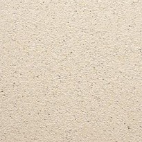 SV Oudhollandse tegel creme 50x50x5 cm