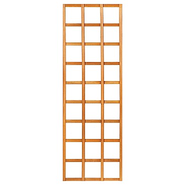 Trellis recht hardhout 180x60 cm glad geschaafd