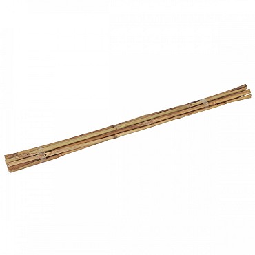 Bamboestok 60cm (10 st)