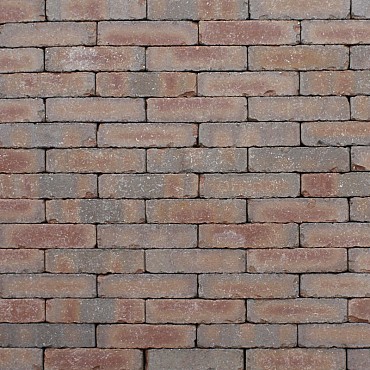 Gsb Gebakken Haren 200x48x60 mm