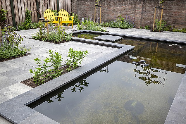 Vijverrand Blue Moon Honed Linea 100x30x5 cm