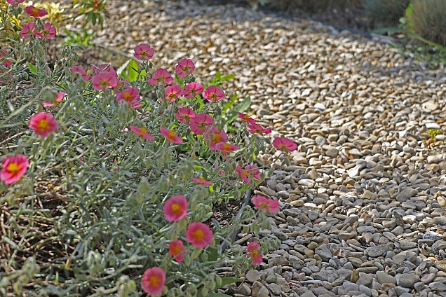 Castle Beige grind 4-10 mm (bb 500 kg)