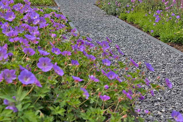 Ardenner brokjes grijs 6-9 cm (bb 1500 kg)