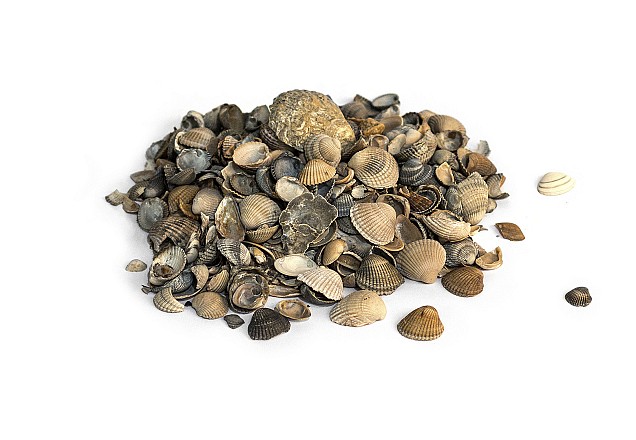 Schelpen 8-16 mm 15 Ltr