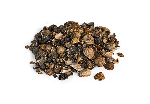 Schelpen 8-16 mm 15 Ltr