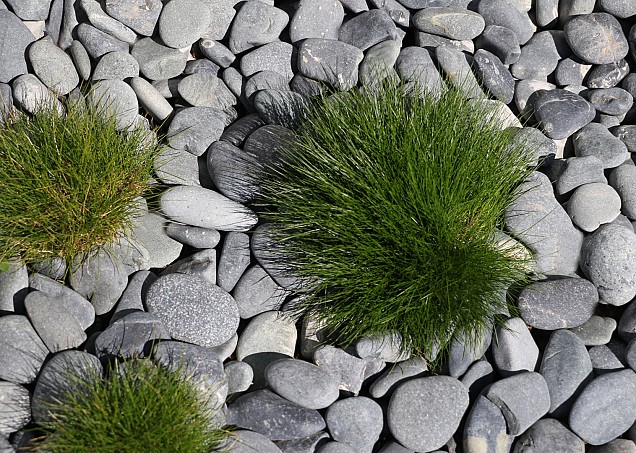 Beach Pebbles antracite  3-6 cm