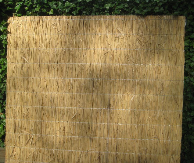 Rietplaat Nagy 75x200