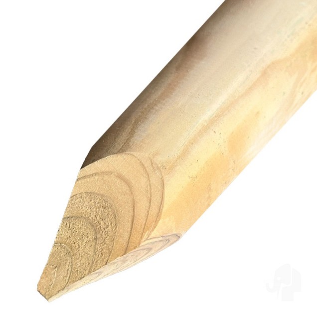 Grenen FSC paal rond geschaafd gepunt Ø 60mm glad [geimpregneerd] bc - lengte: 100 cm