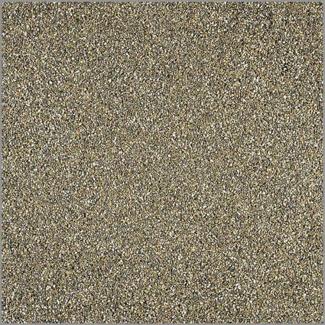 FundyKing (25 kg)