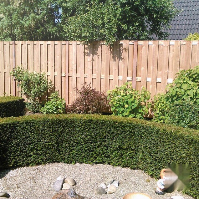 Elephant schutting Douglas 15 planks 180x180 cm