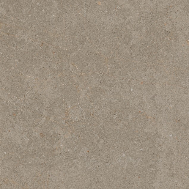 Keramische tegel Limerock Taupe 60x60x2 cm