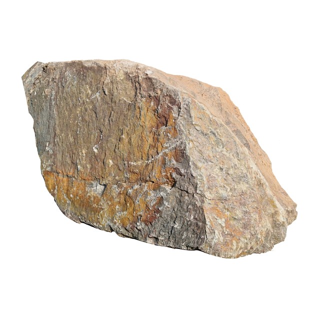 Zwerfkei Violetto  40-80 cm