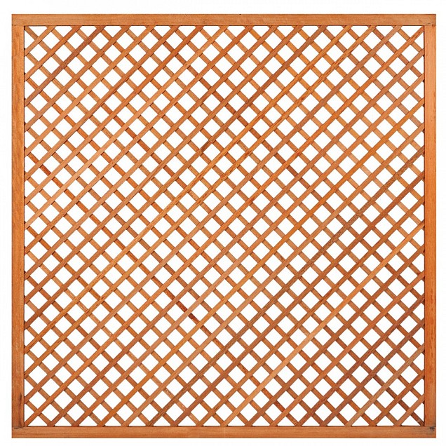 Trellis met lijst, diagonale lamellen hardhout kunstmatig gedroogd H180xB180 cm