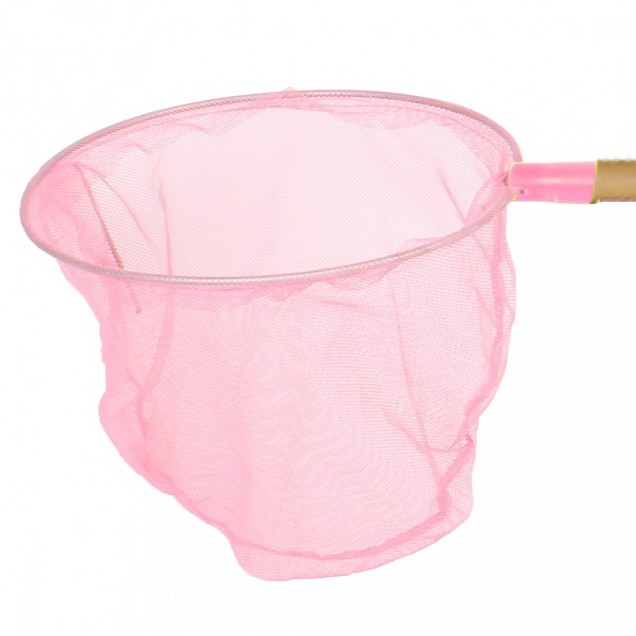 Schepnet rose