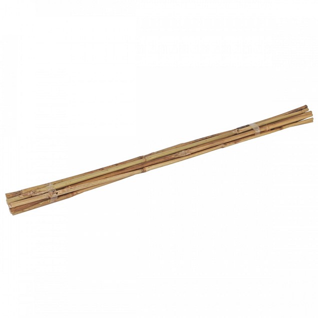 Bamboestok 60cm (10 st)