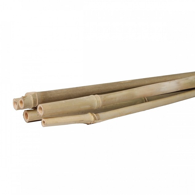 Bamboestok 180cm (3 st)