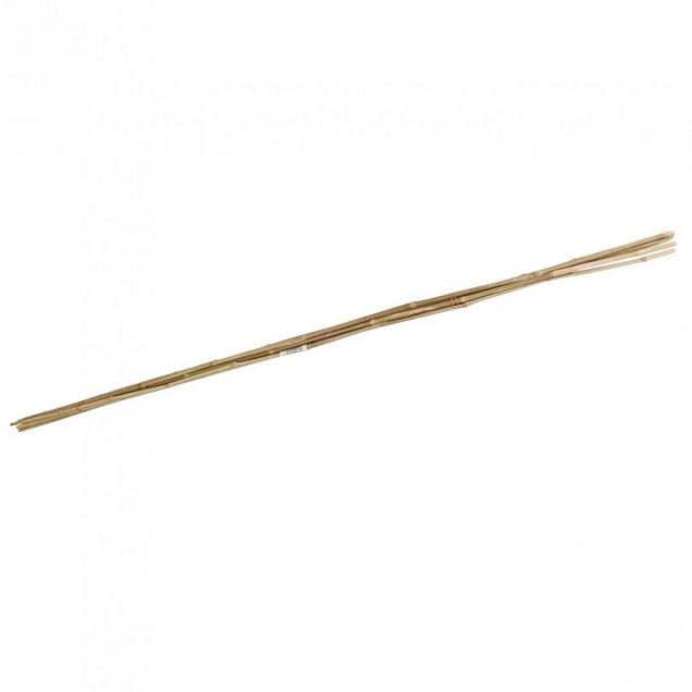 Bamboestok 180cm (3 st)